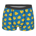 Boxer Ducks Bubbles