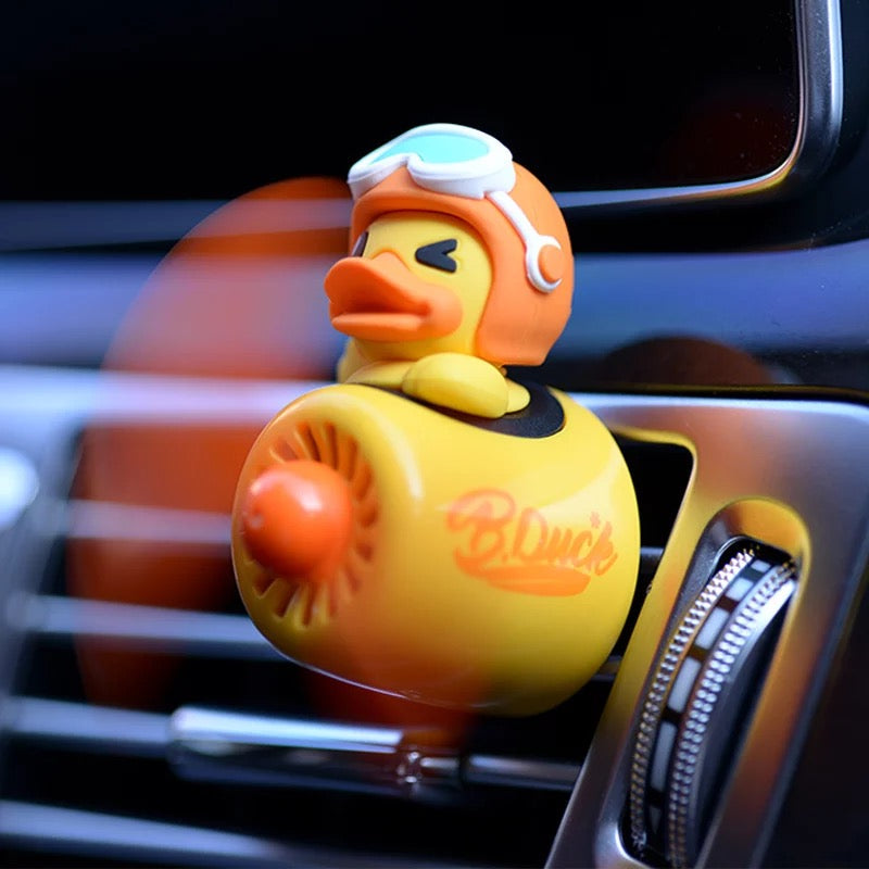 Duck pilot diffuser