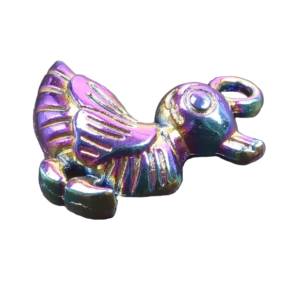 Regenboog eendje bedeltje