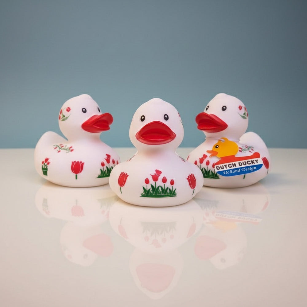 Canard Hollande Tulipes