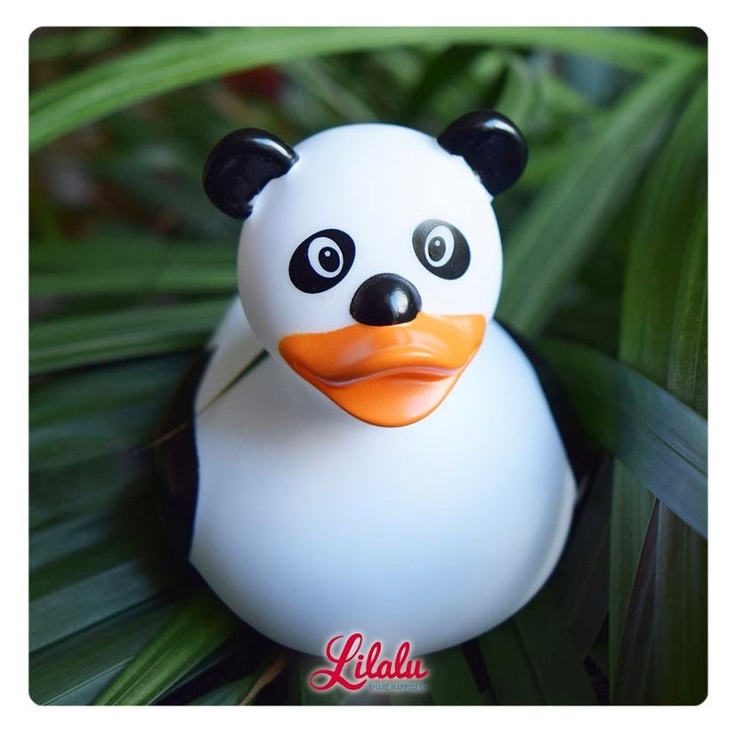 Canard Panda