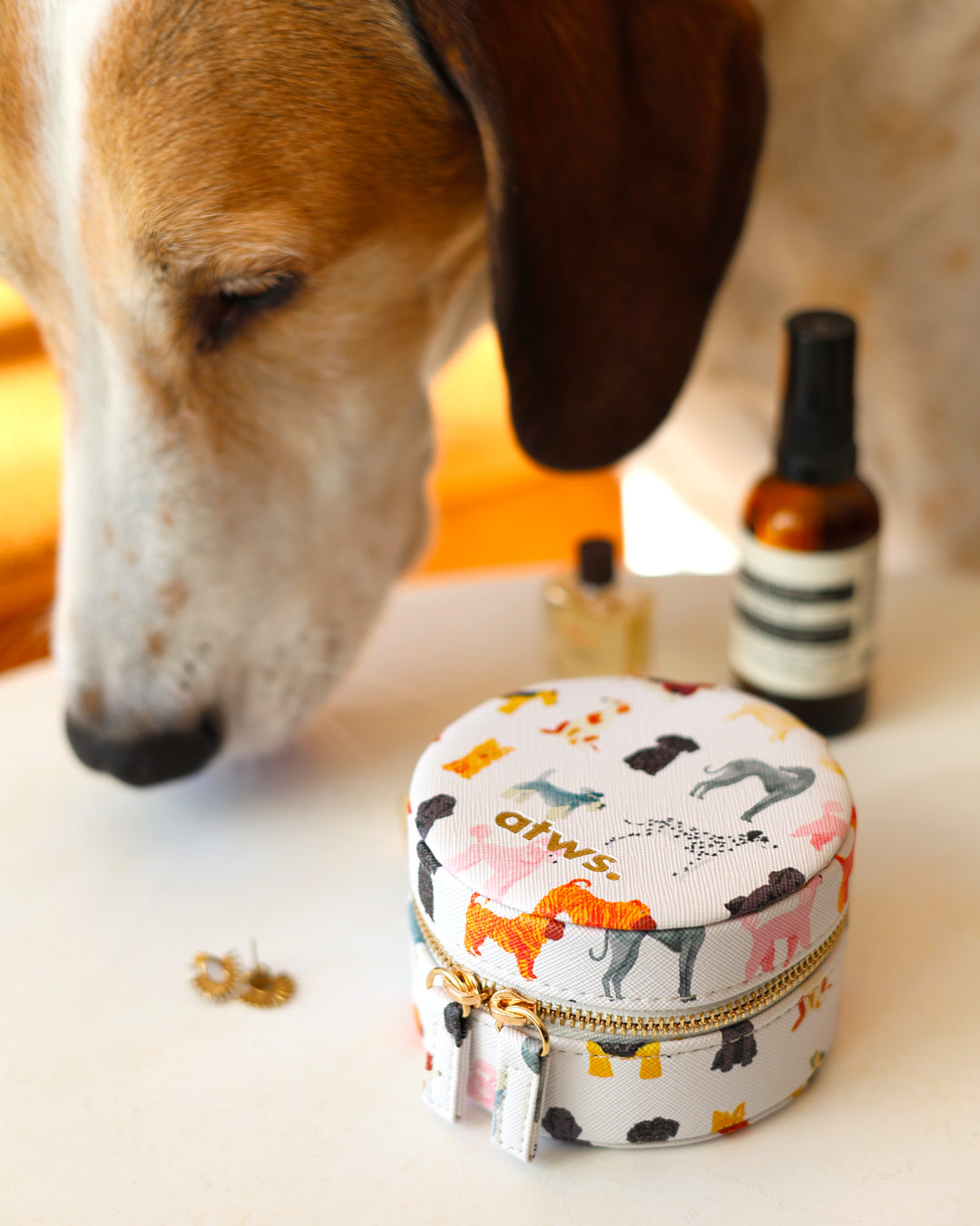 Dogs - Jewellery box