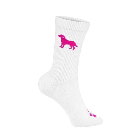 Labrador