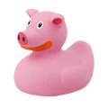 Ente Schwein