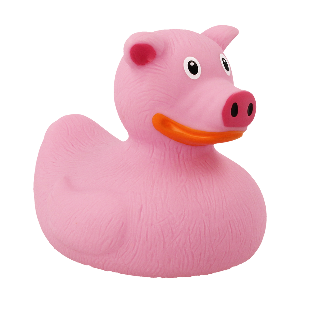 Ente Schwein