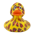 Canard Chat Sauvage