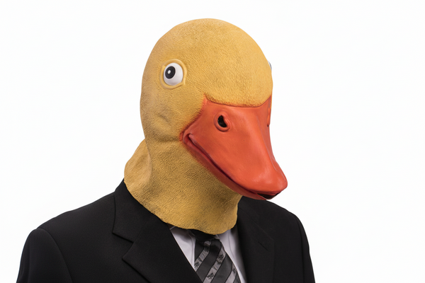 Eendenmasker