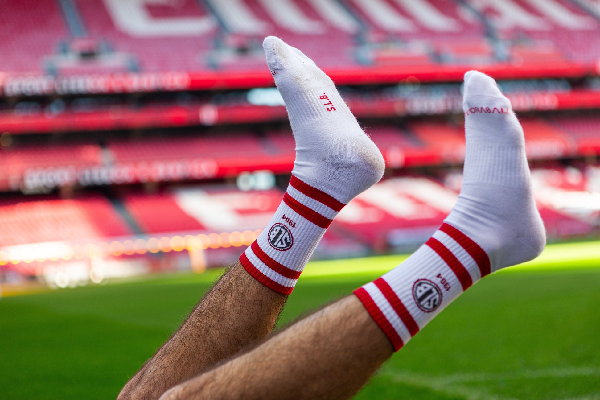 Chaussettes SL Benfica « 1904 Blanc » - Chulé