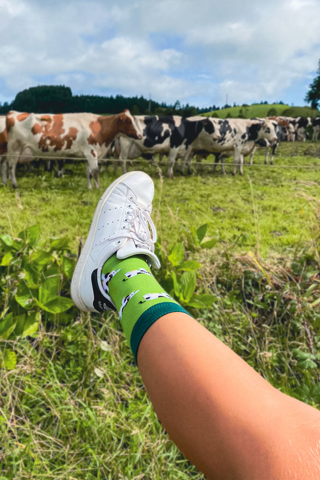 Chaussettes « Vaches »