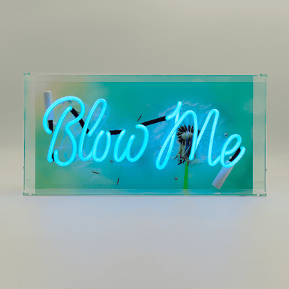 'Blow Me' Neon Box Sign