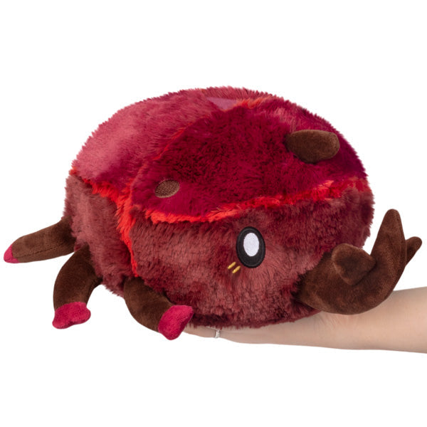 Rhinoceros Beetle
