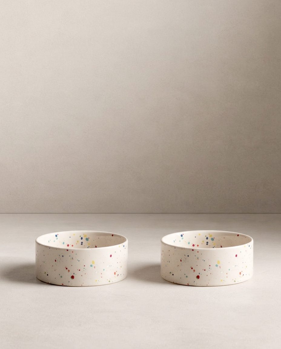 New Party Pet Bowl 14cm Set of 2