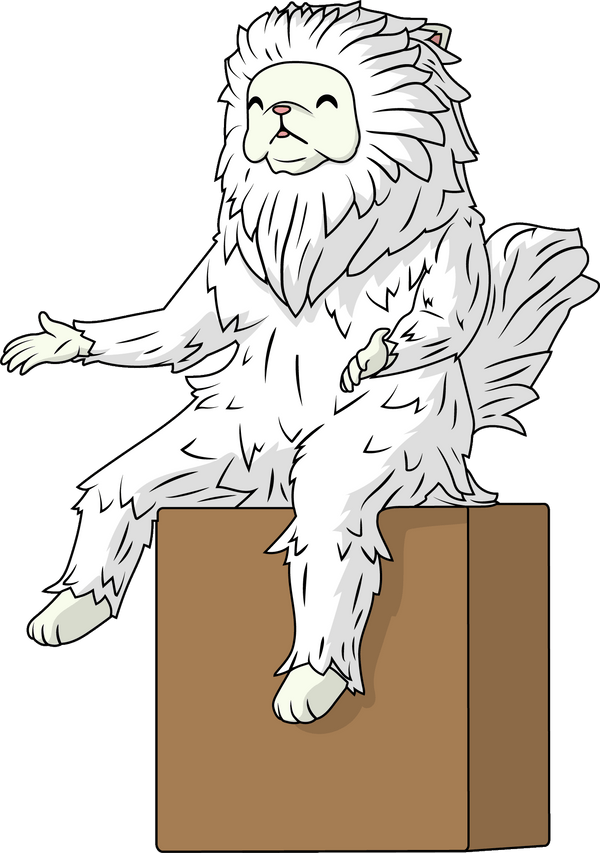 Persian Cat