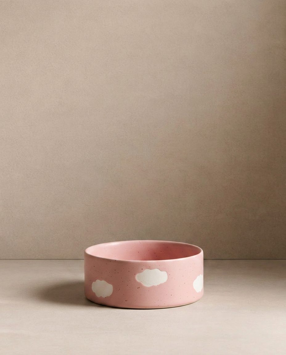 Pink Cloud Stoneware Pet Bowl 16,5cm 2 Pieces Set