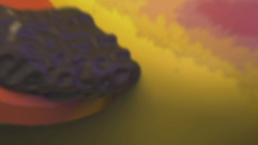 Rocky Ducks (First Edition)