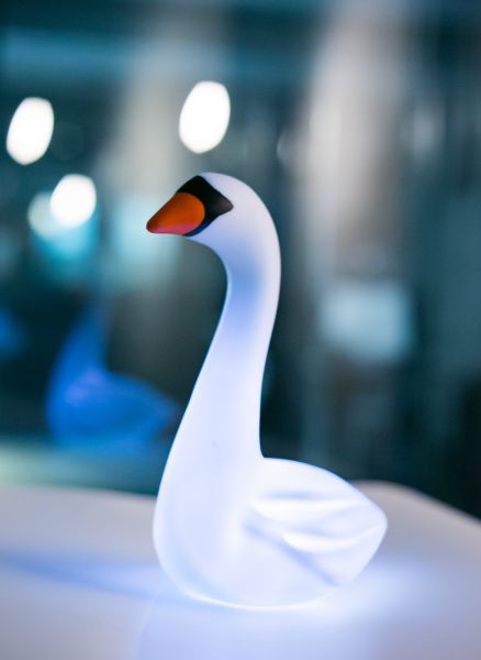 Swan night light