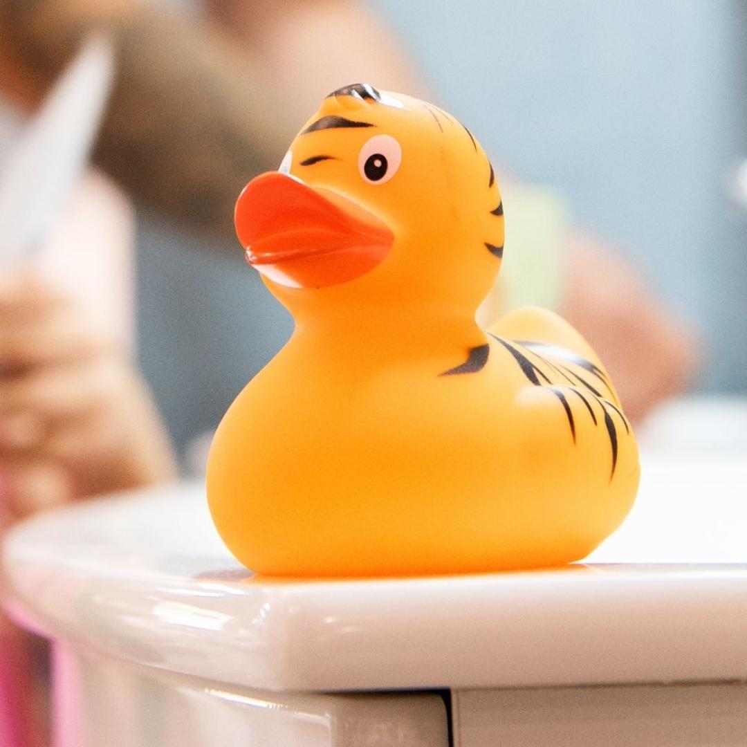 Duck tiger