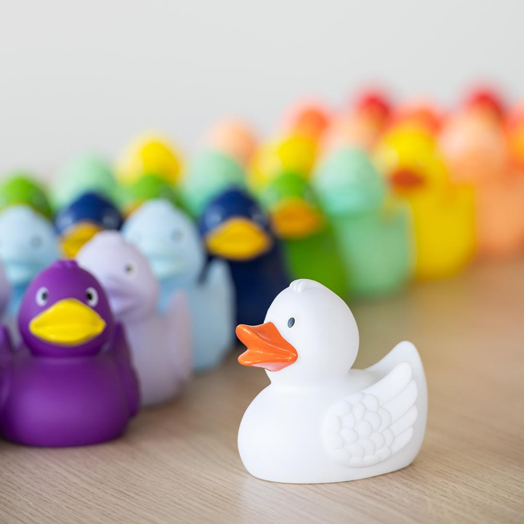 Canard Pastel avec ailes