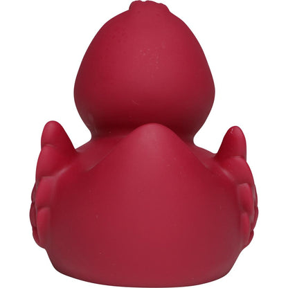 Canard uni avec ailes