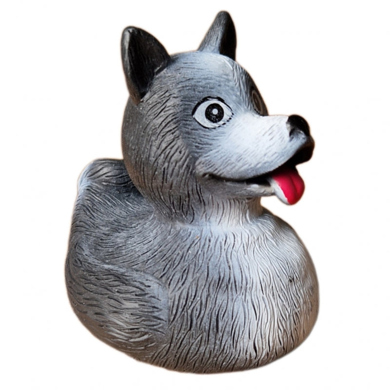 Canard Husky Fantasy Ducks – vue 7