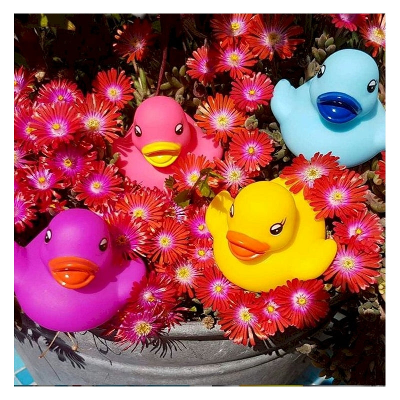 Petit canard classique Dutch Ducky – coloris jaune – vue 13