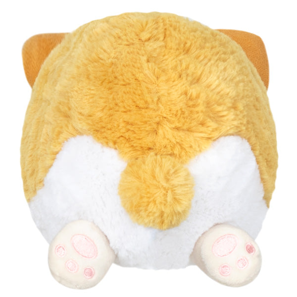 Peluche Snacker Squishable – Bébé Corgi