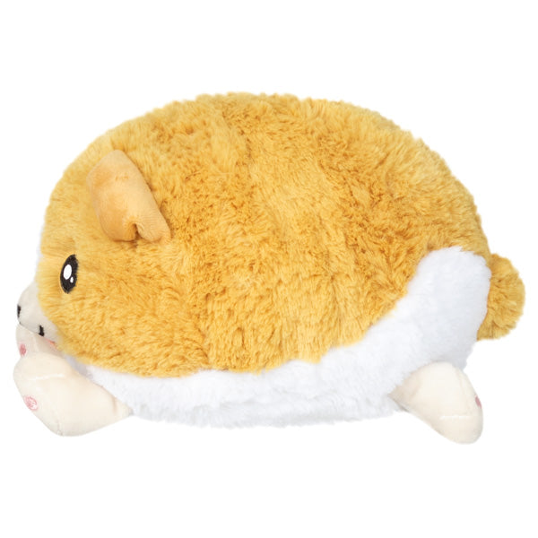 Peluche Snacker Squishable – Bébé Corgi