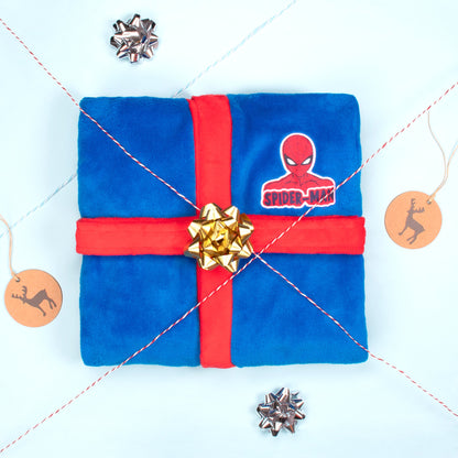 Enfant Spider-Man Robe