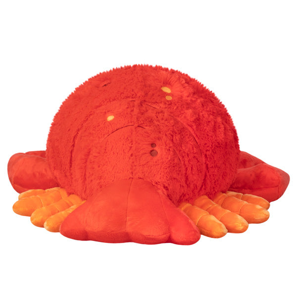 Peluche Squishable – Homard