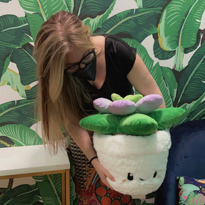 Peluche Squishable – Succulente
