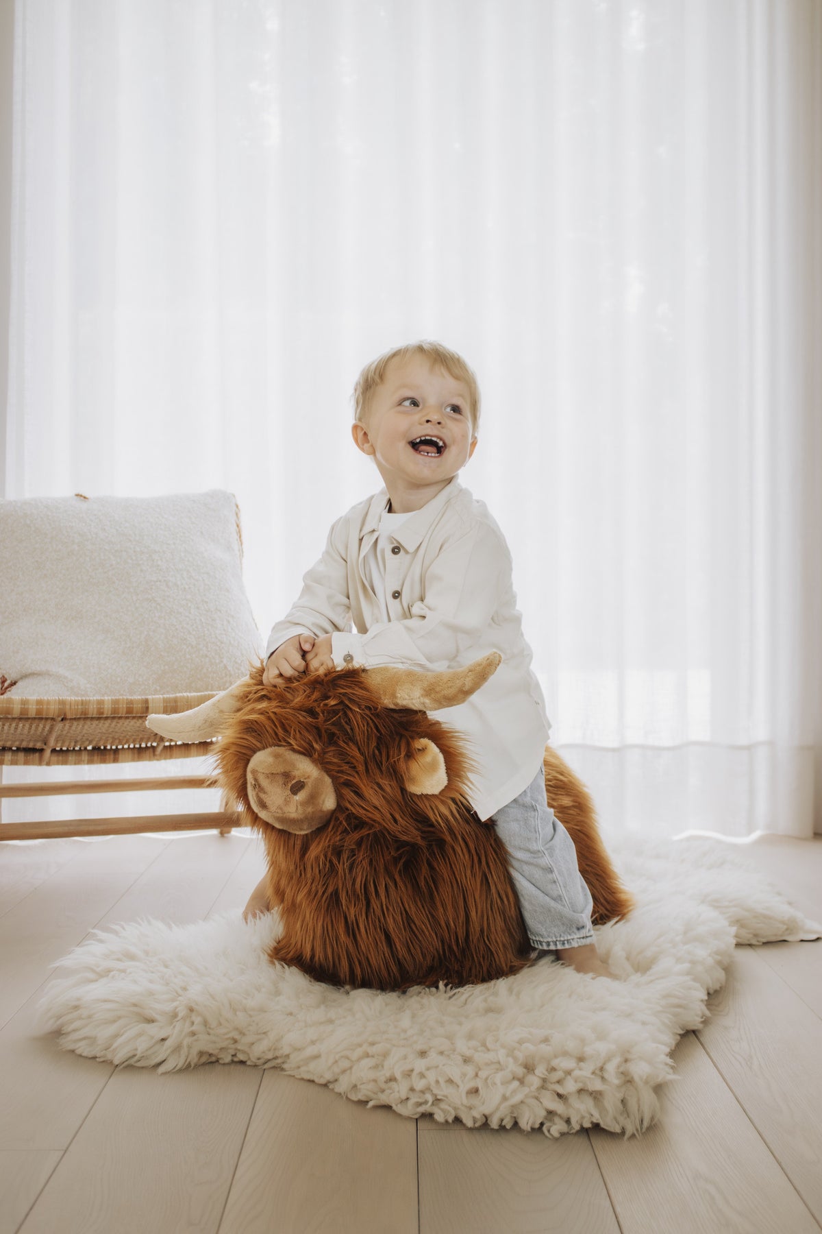 Vache Highland douce et rebondissante Wild & Soft