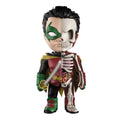 XXRAY: Robin