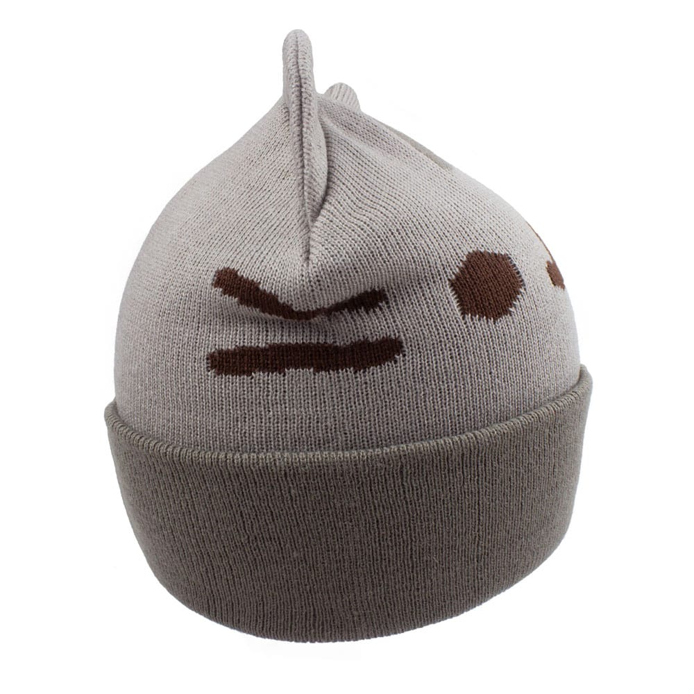 Pusheen de Kat Muts 