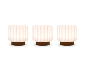 3 Rechargeable Lace Lamps