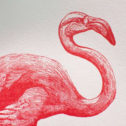 Pink Flamingo Artprint