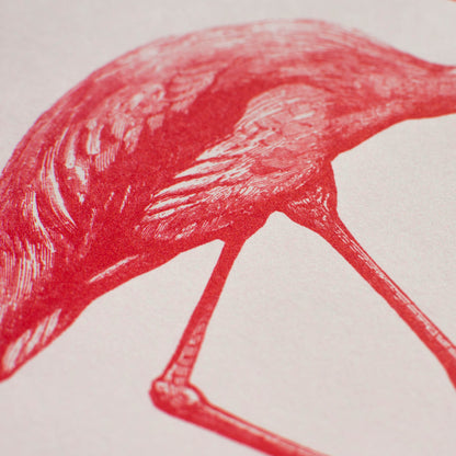 Pink Flamingo Artprint