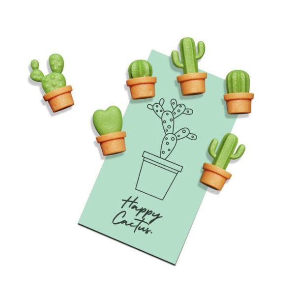 Magnets Cactus "Cacnet" – vue produit 5
