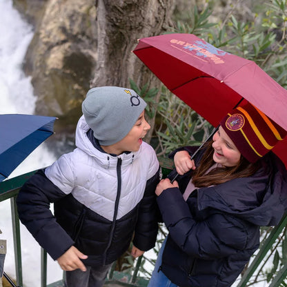 Harry Potter Umbrella - Gryffindor