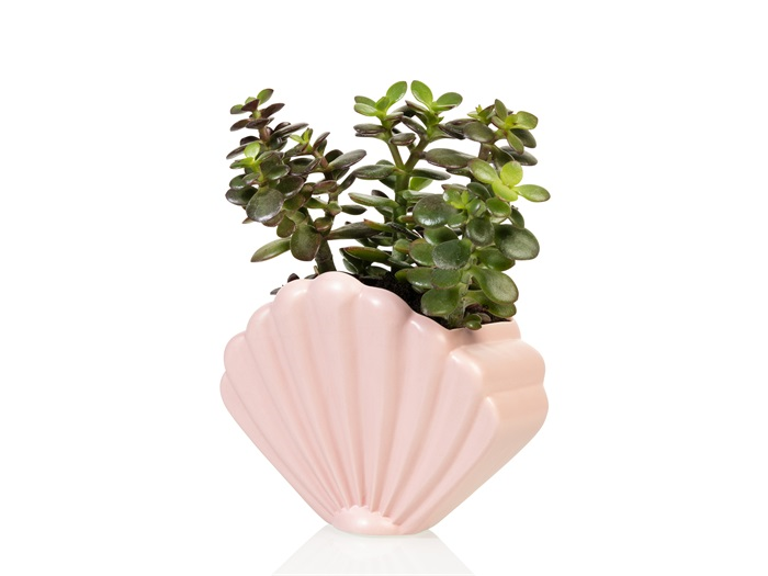 Pot de fleur Coquillage Rose