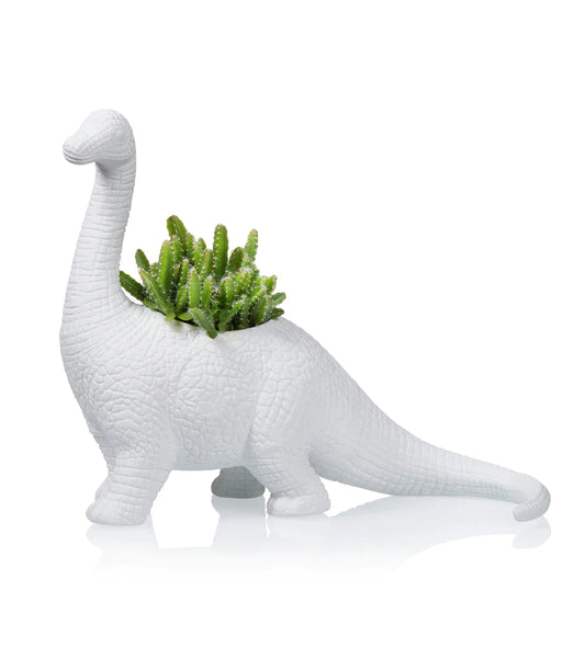 Pot de fleur Dinosaure Plantosaurus