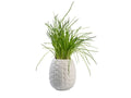 Blumentopf Ananas