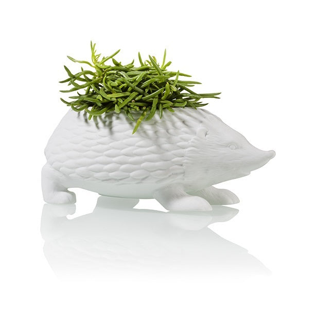 Pot de Fleur Hérisson