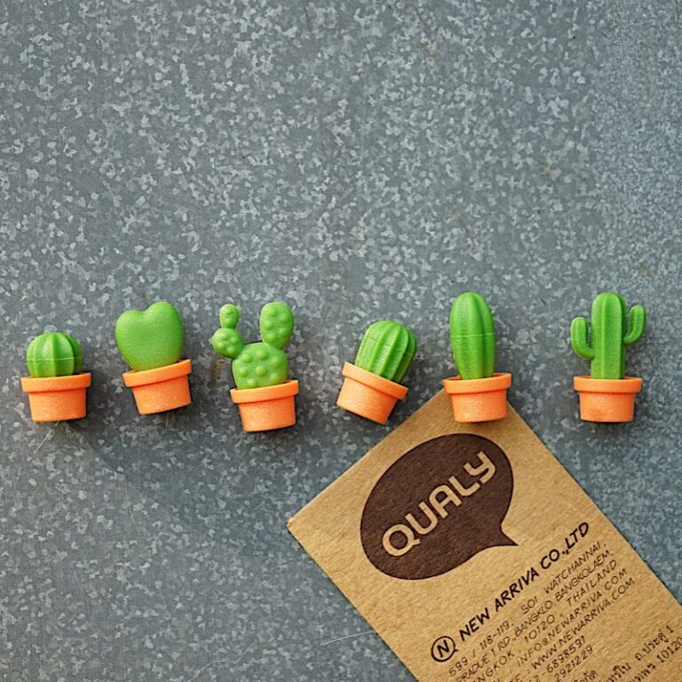 Cactusmagneten "Cacnet" 