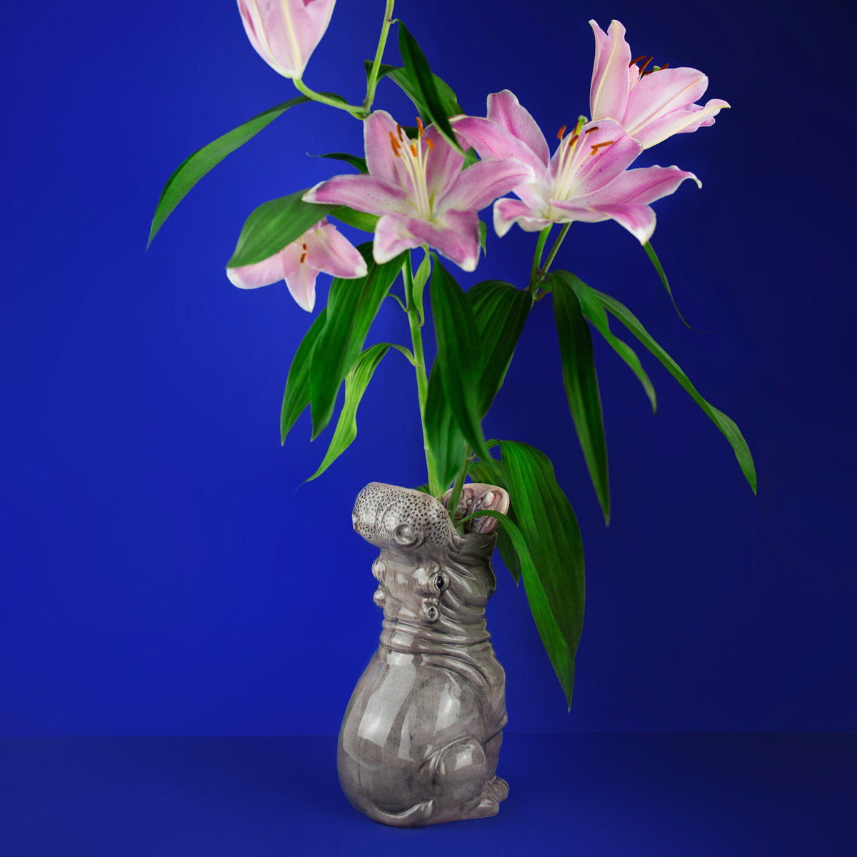 Vase Hippopotame Hungry Hippos