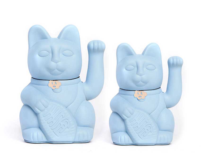 Light blue cat